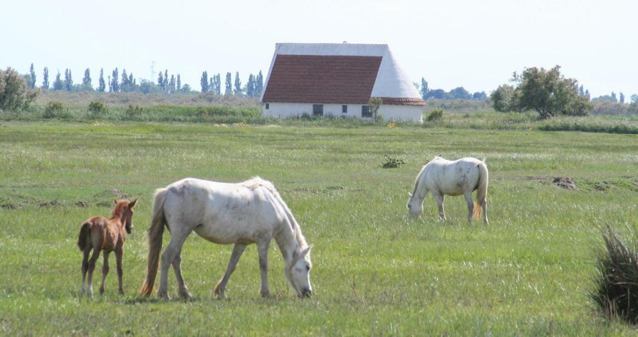Ferienwohnung Chez marinette Le Cailar Exterior foto